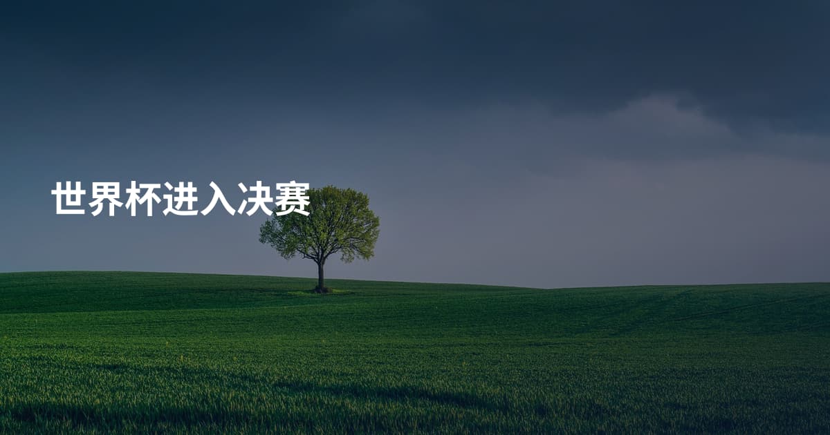 世界杯进入决赛
