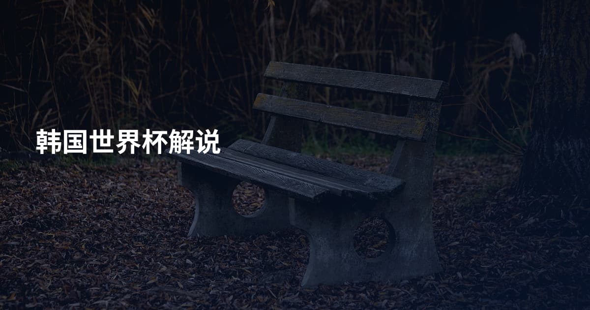 韩国世界杯解说