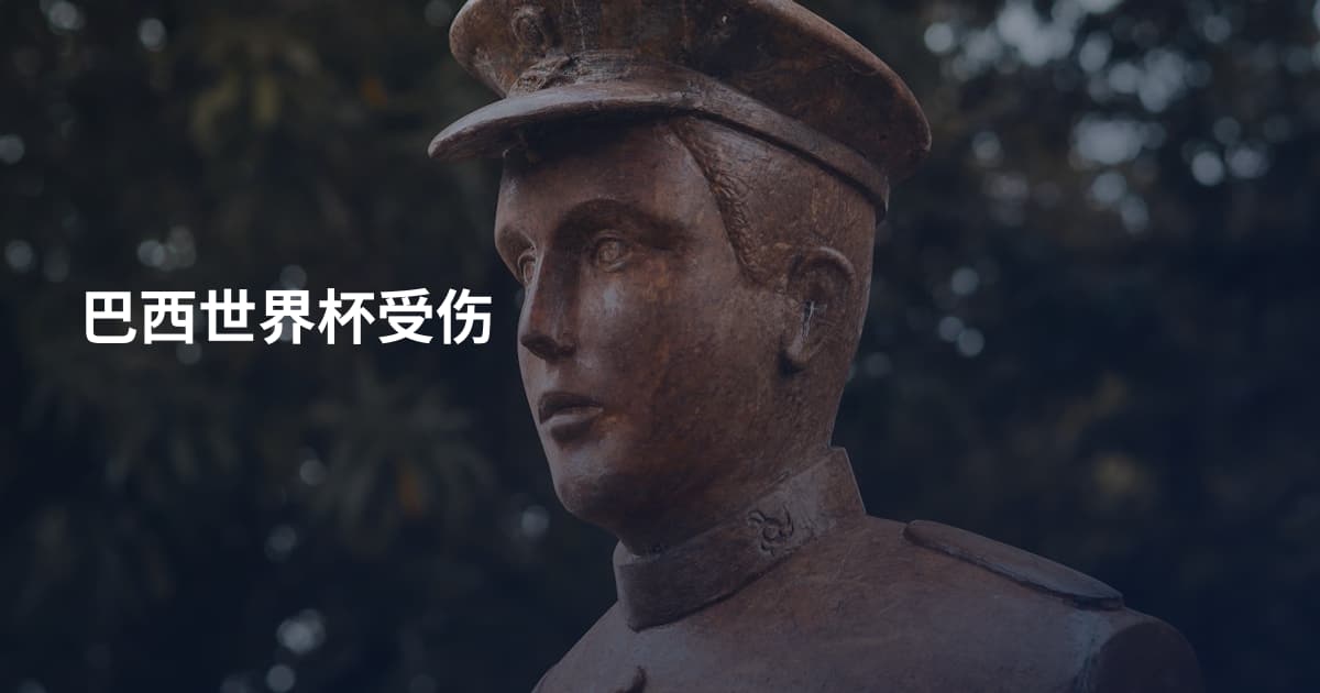 巴西世界杯受伤