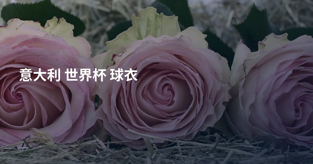 意大利 世界杯 球衣