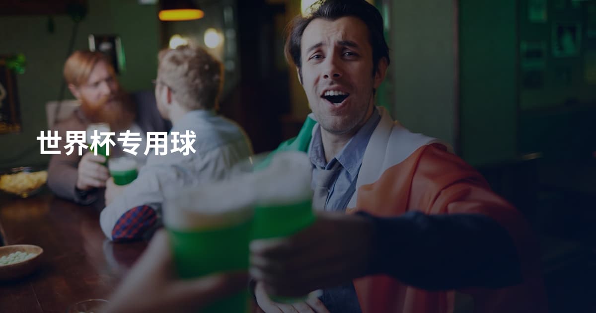 世界杯专用球