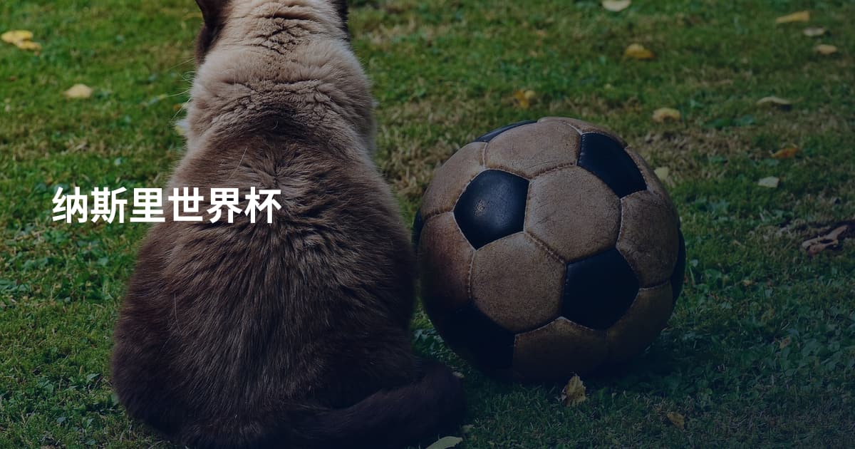 纳斯里世界杯