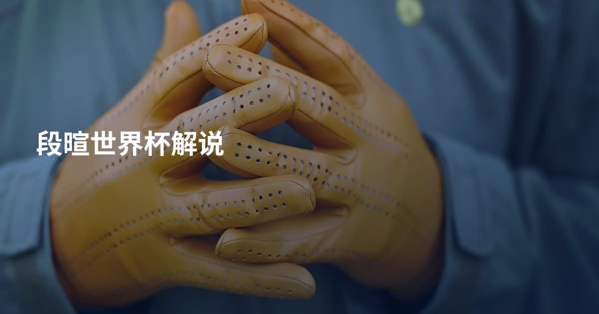 段暄世界杯解说