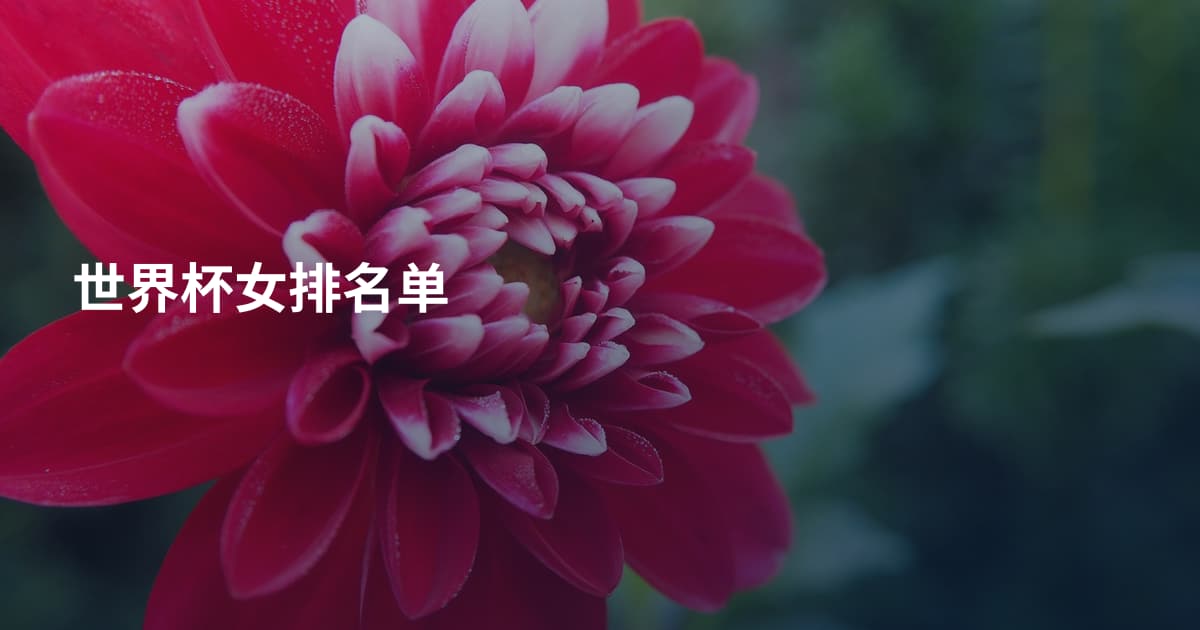 世界杯女排名单