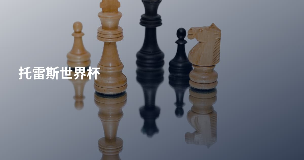 托雷斯世界杯