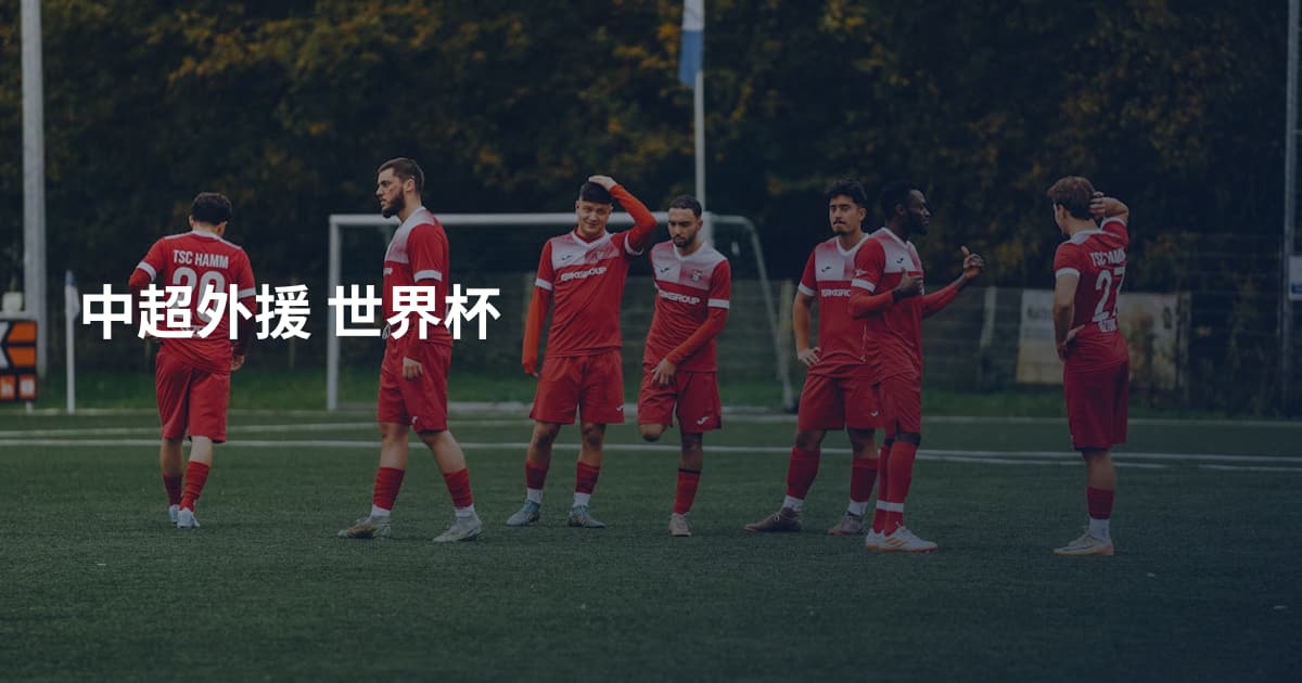 中超外援 世界杯