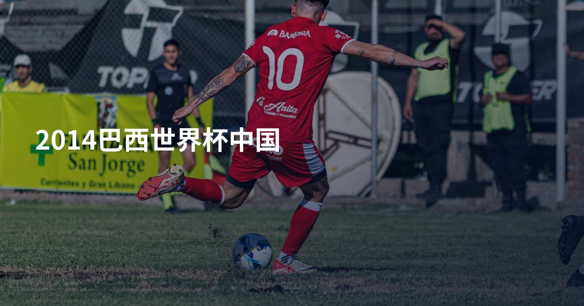 2014巴西世界杯中国