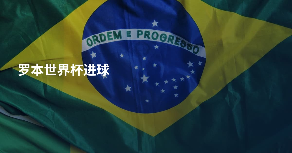 罗本世界杯进球