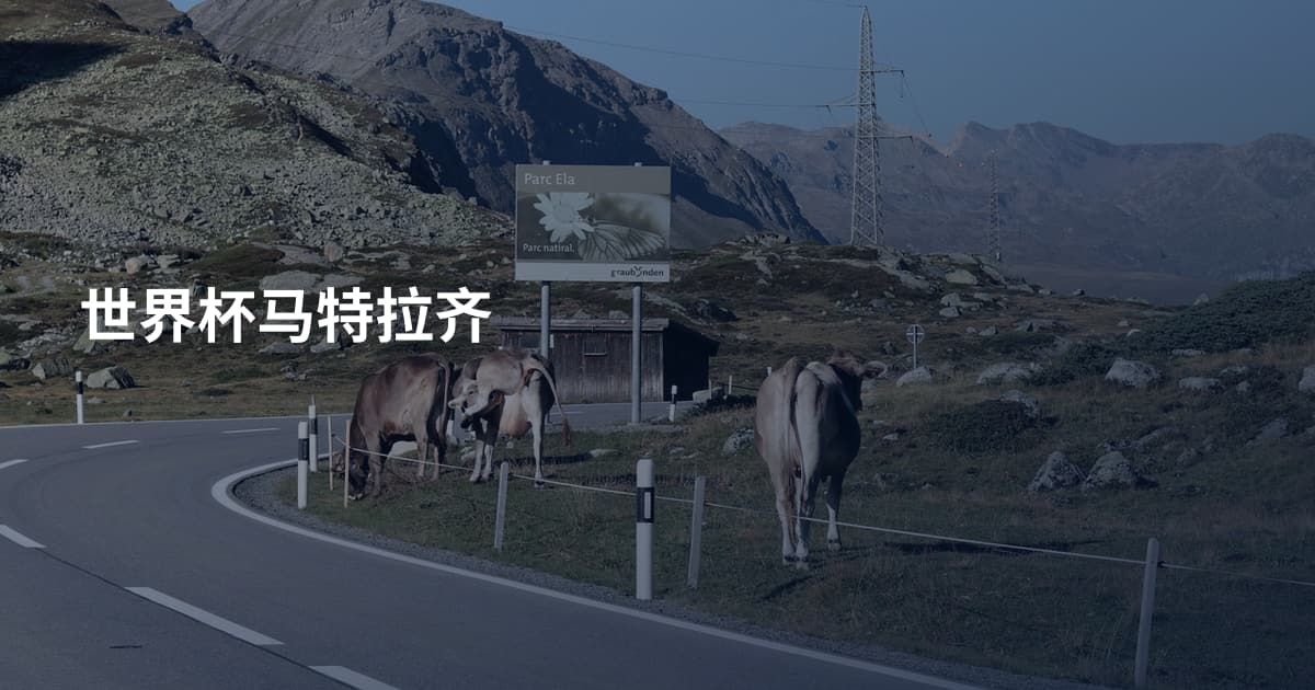 世界杯马特拉齐