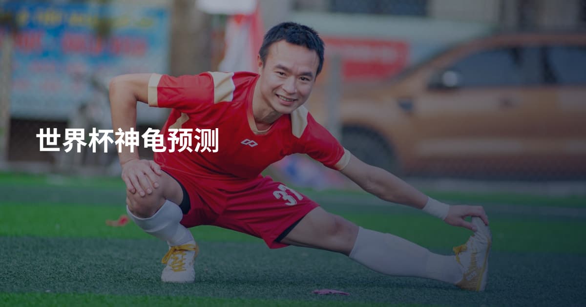 世界杯神龟预测
