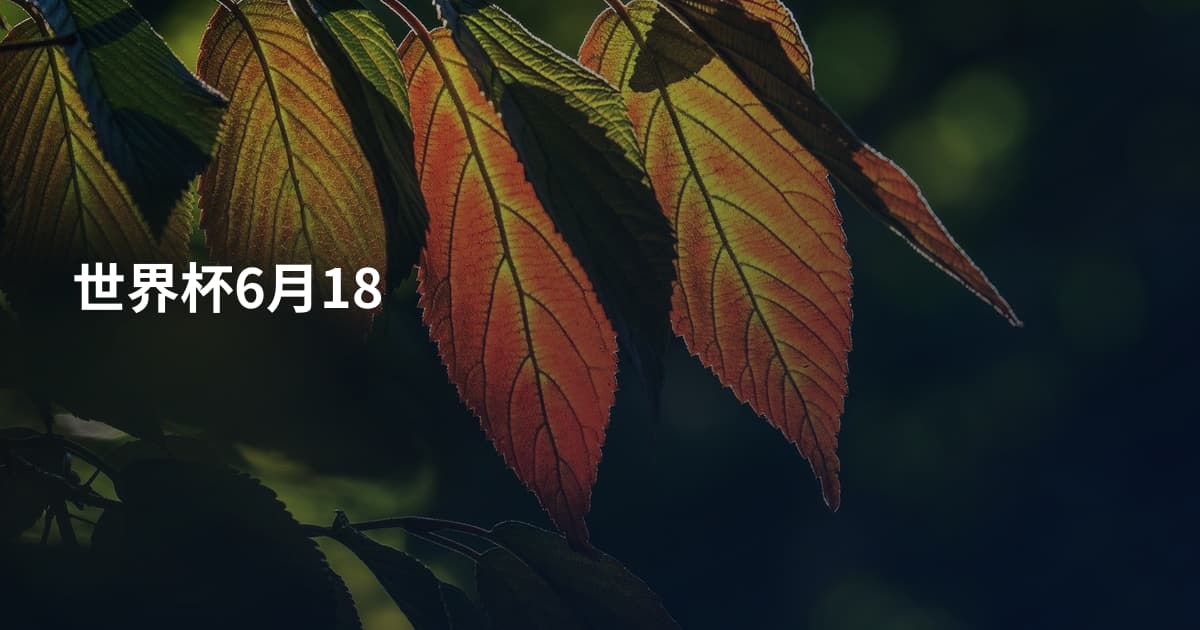 世界杯6月18
