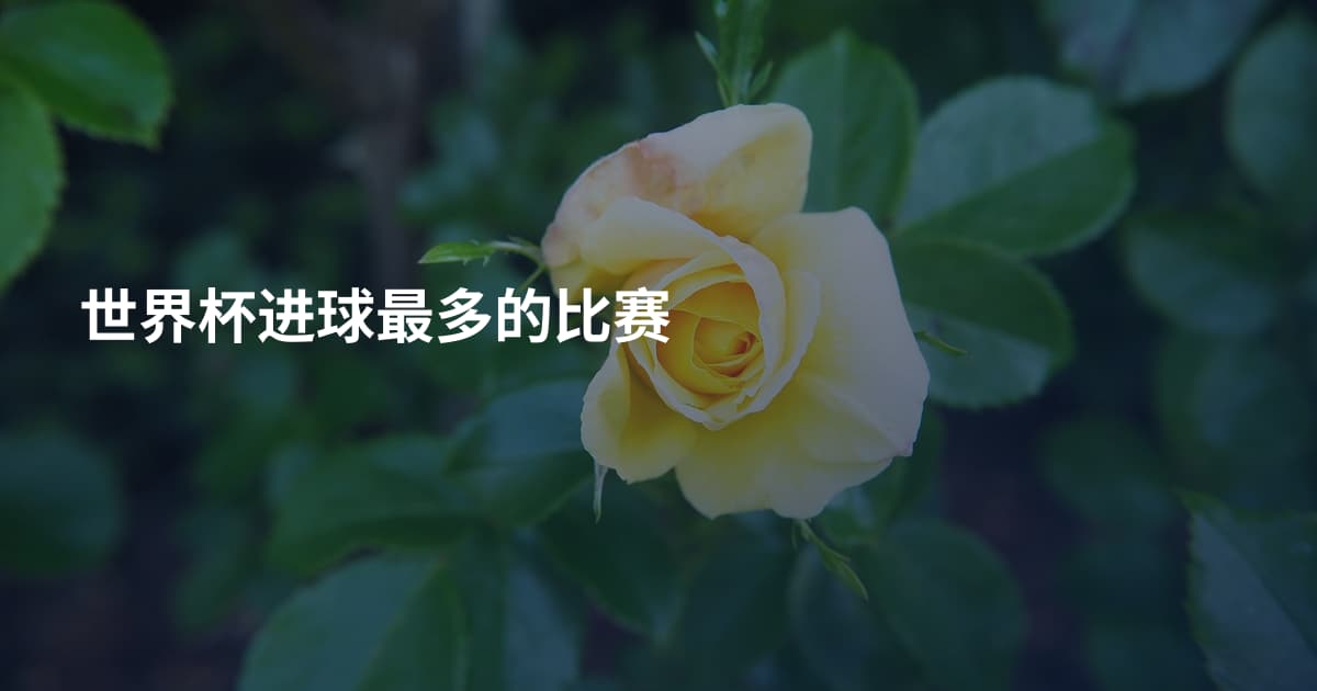 世界杯进球最多的比赛