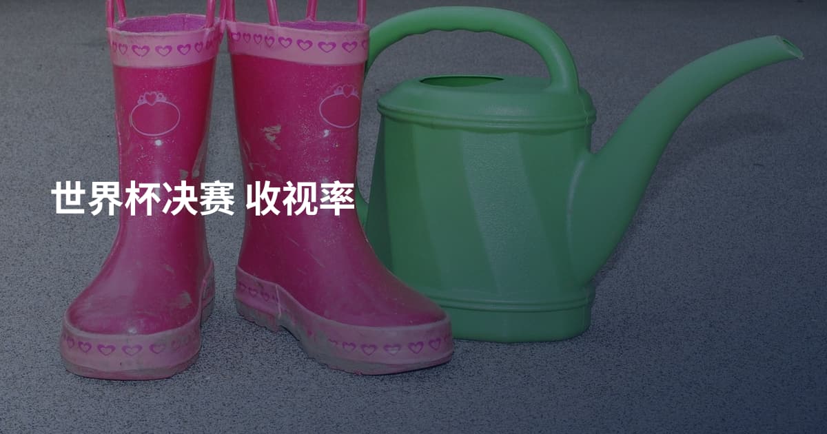 世界杯决赛 收视率