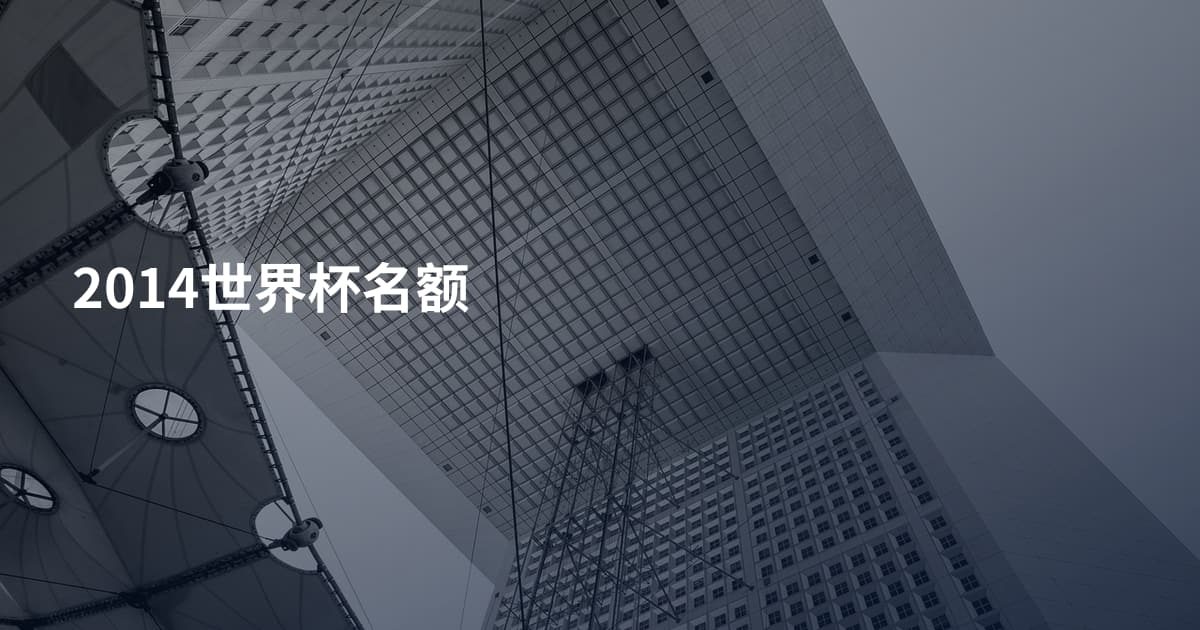 2014世界杯名额