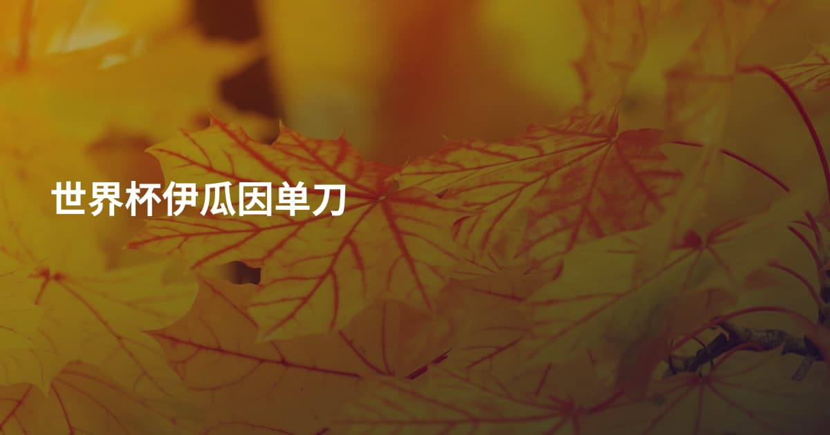 世界杯伊瓜因单刀