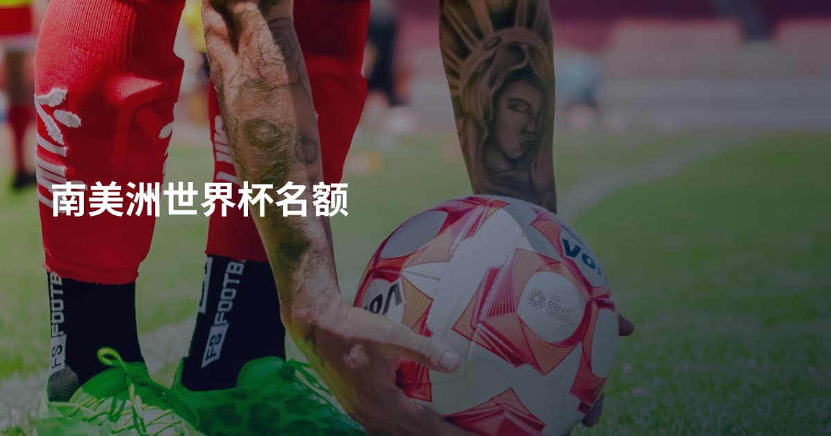 南美洲世界杯名额