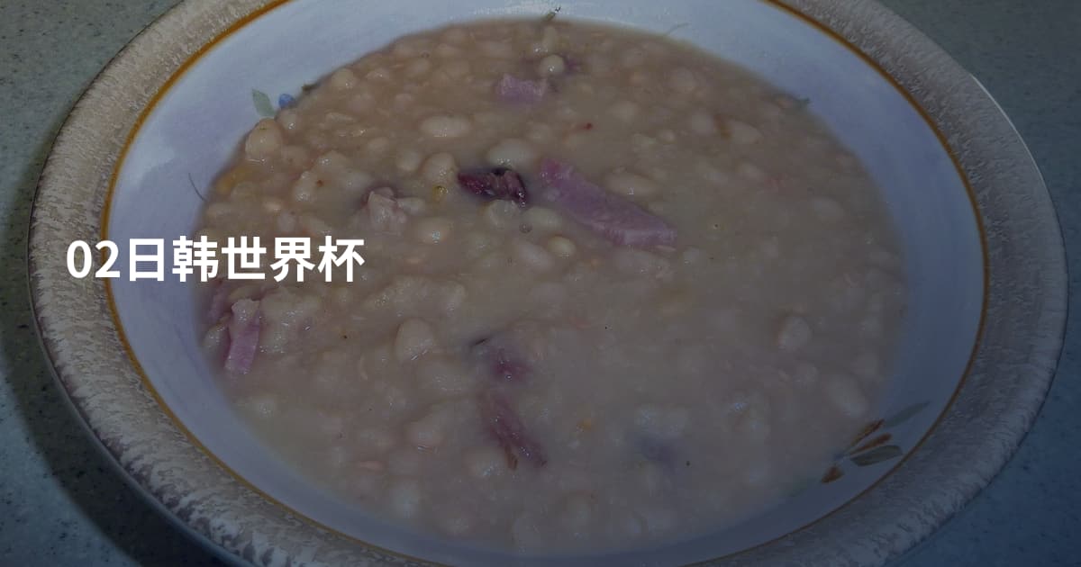 02日韩世界杯