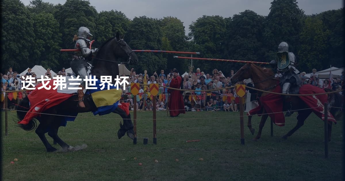 迭戈弗兰世界杯