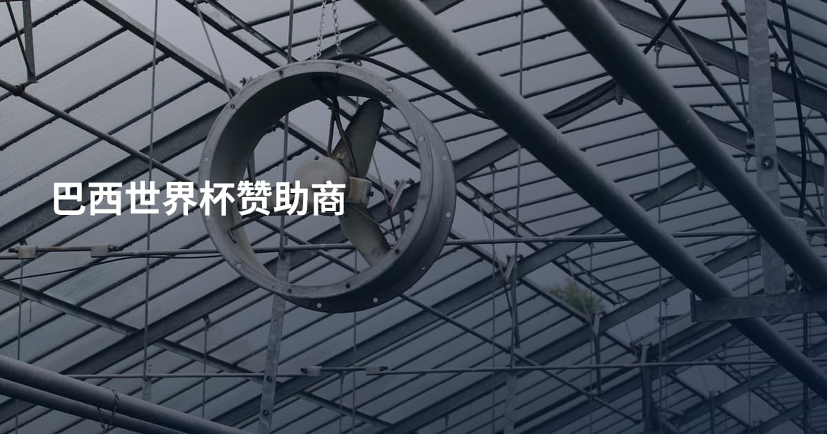巴西世界杯赞助商