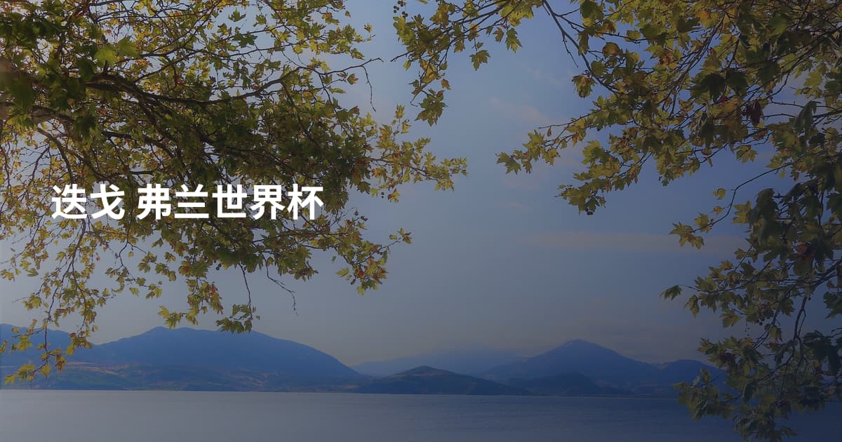 迭戈 弗兰世界杯