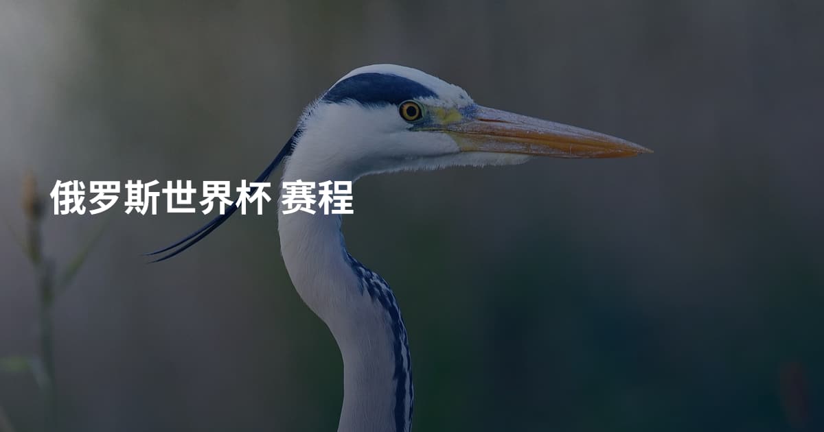 俄罗斯世界杯 赛程