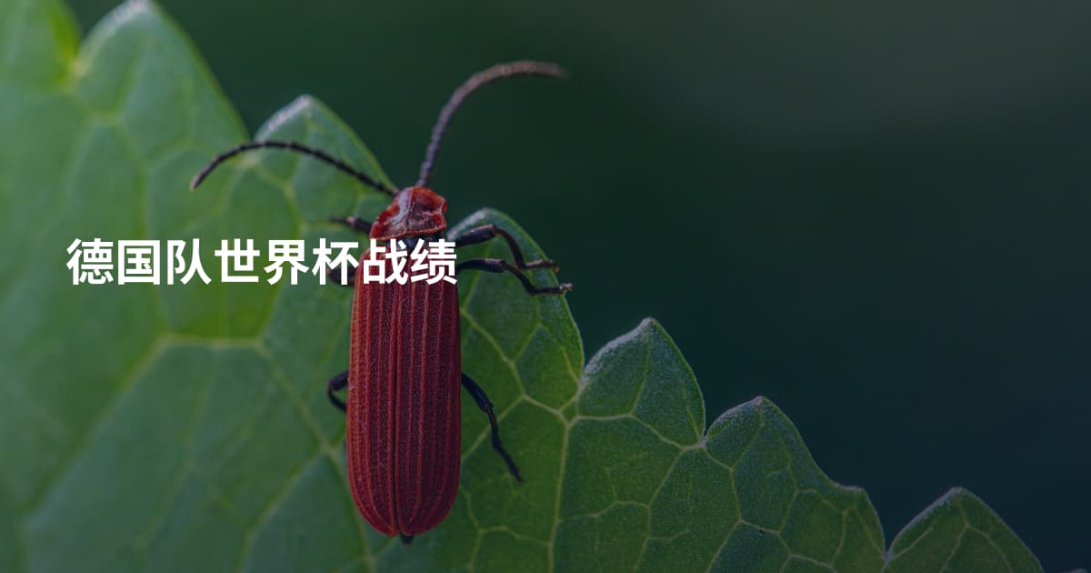德国队世界杯战绩