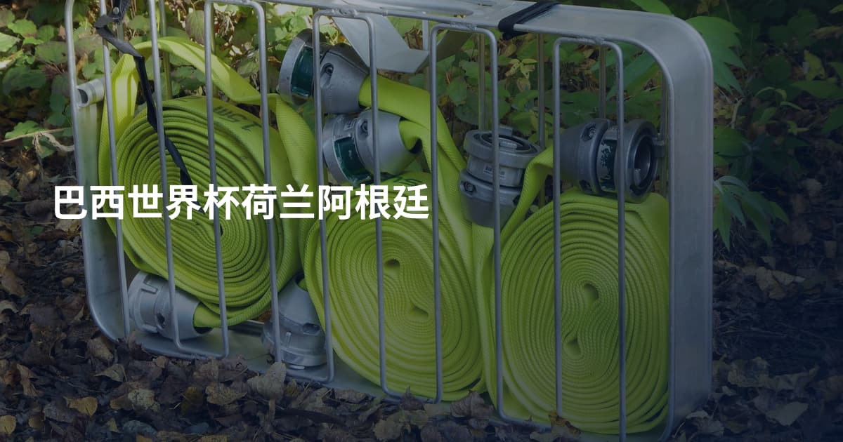 巴西世界杯荷兰阿根廷