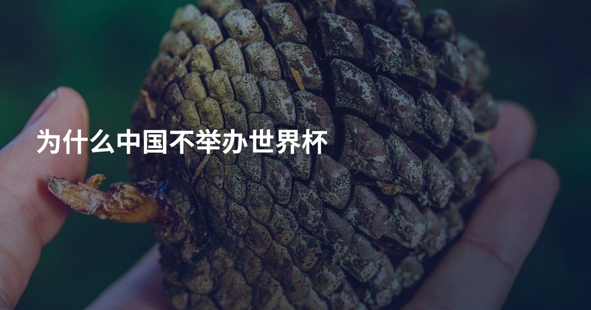 为什么中国不举办世界杯