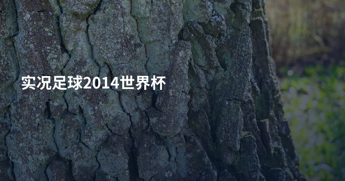 实况足球2014世界杯