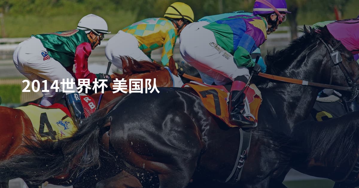 2014世界杯 美国队