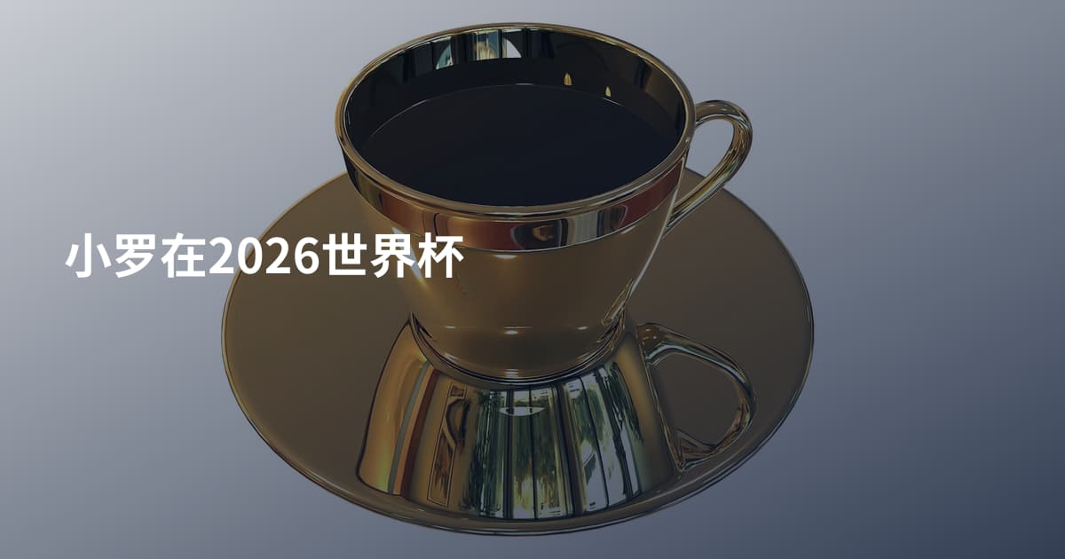 小罗在2026世界杯