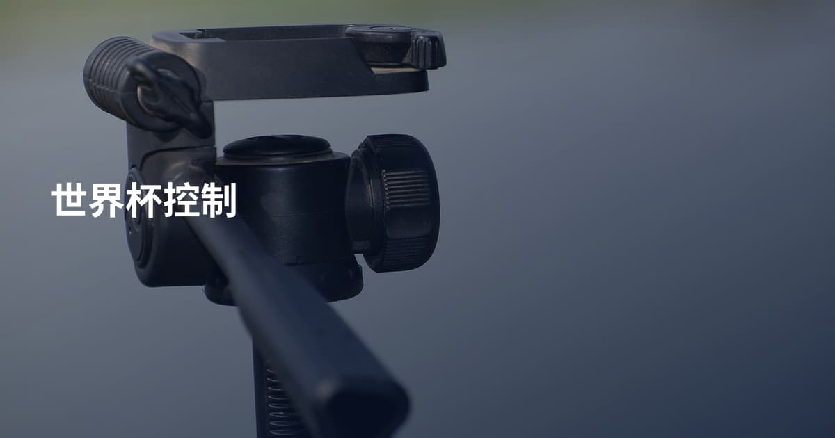 世界杯控制