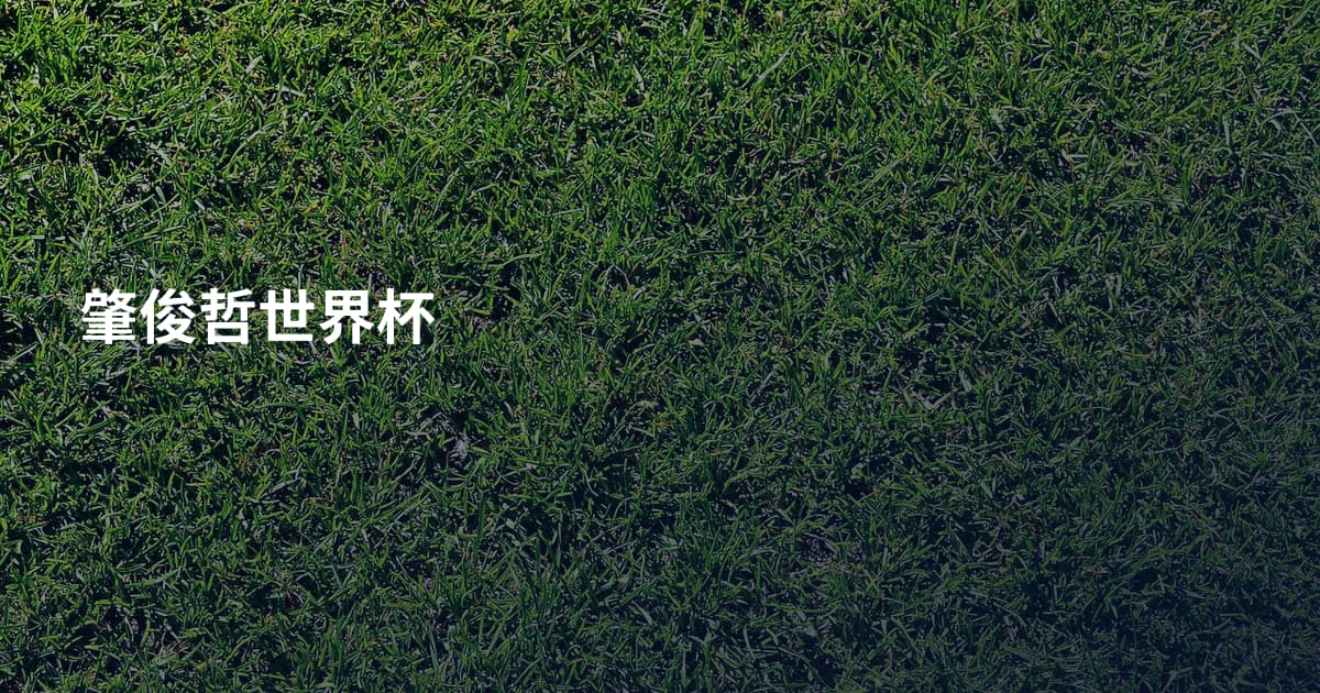 肇俊哲世界杯
