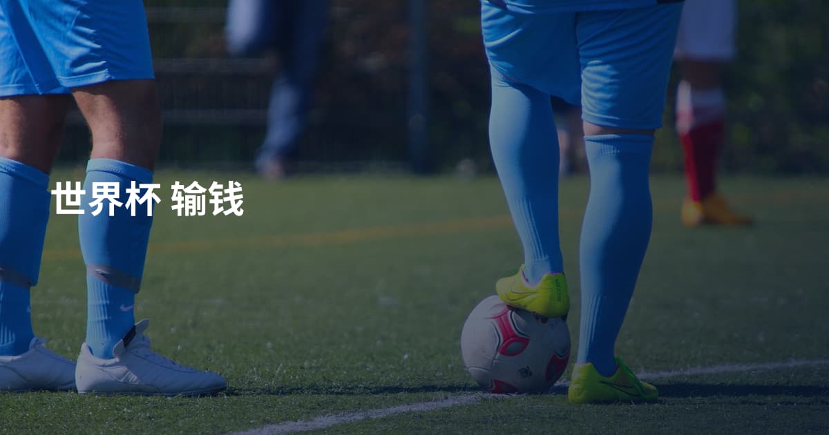 世界杯 输钱