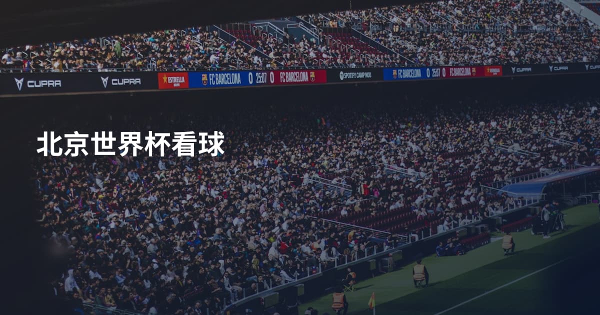 北京世界杯看球