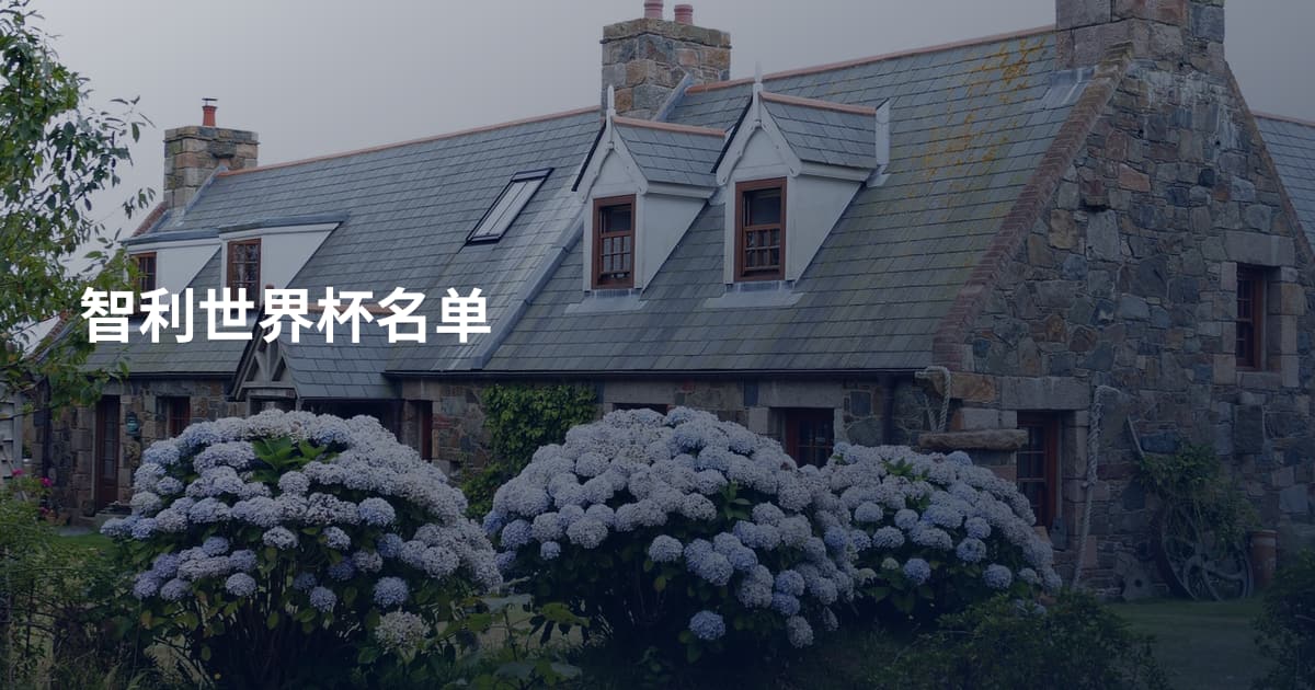 智利世界杯名单