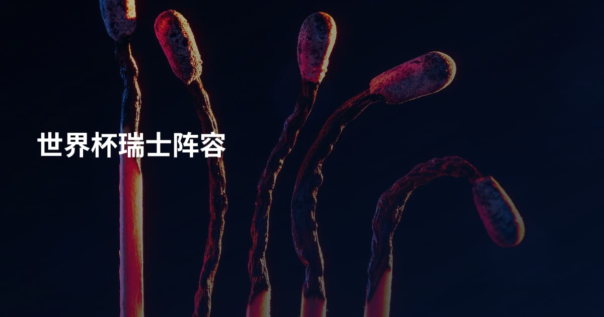 世界杯瑞士阵容
