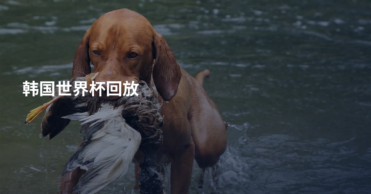 韩国世界杯回放