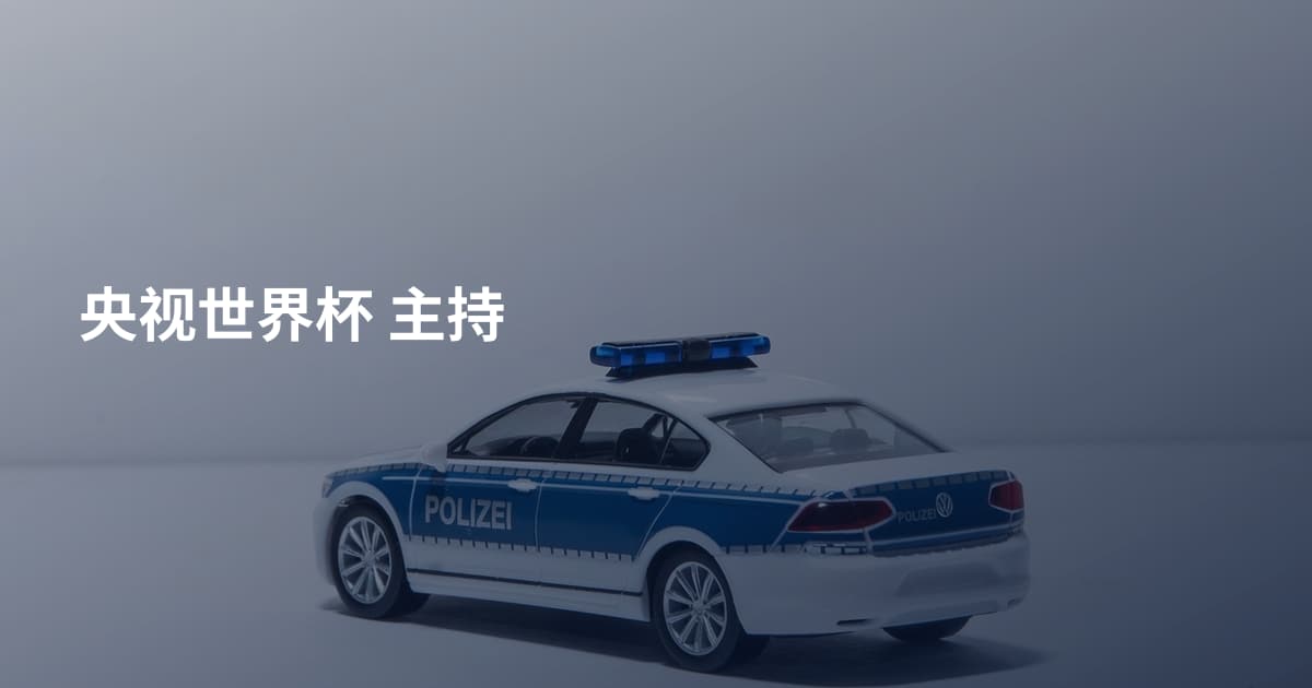 央视世界杯 主持