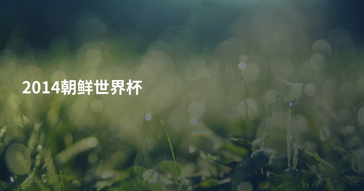 2014朝鲜世界杯