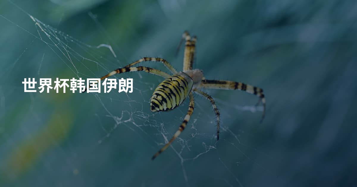 世界杯韩国伊朗