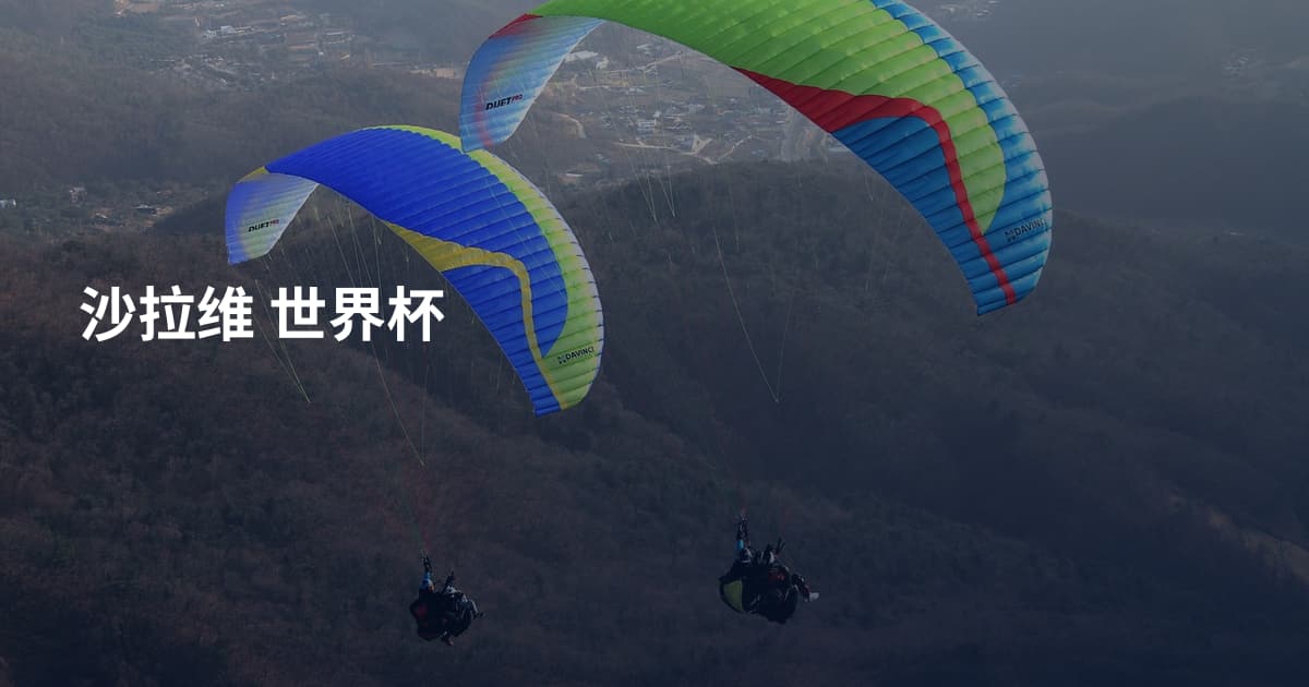 沙拉维 世界杯