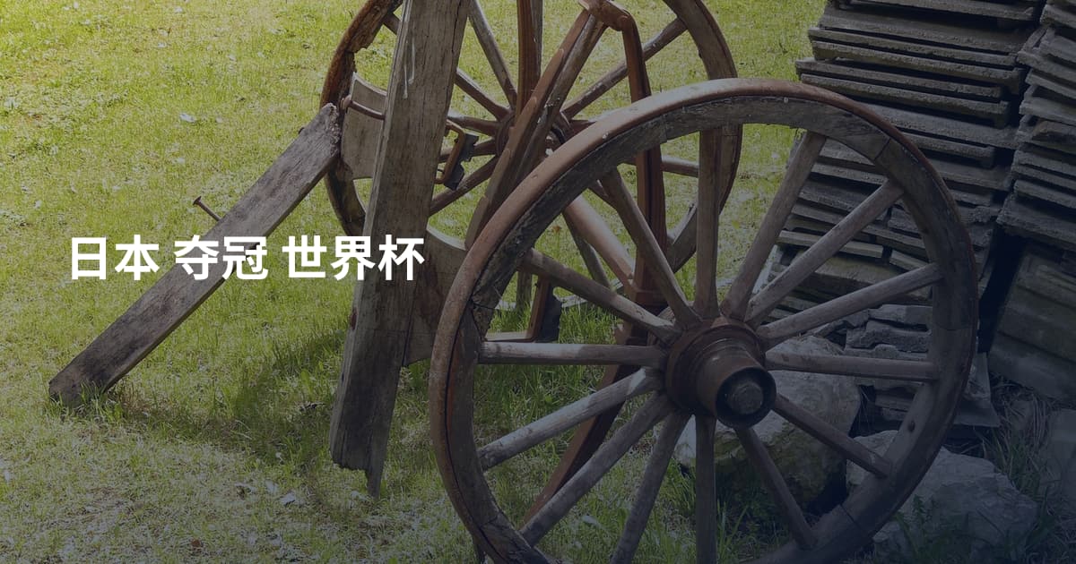 日本 夺冠 世界杯
