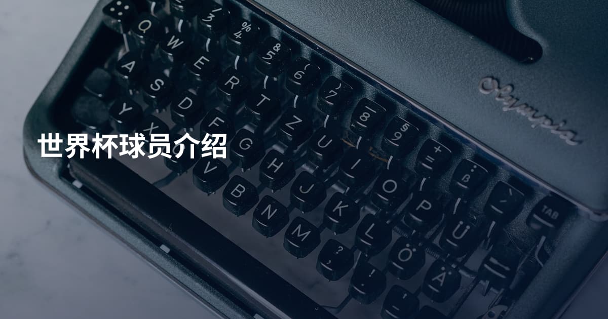 世界杯球员介绍