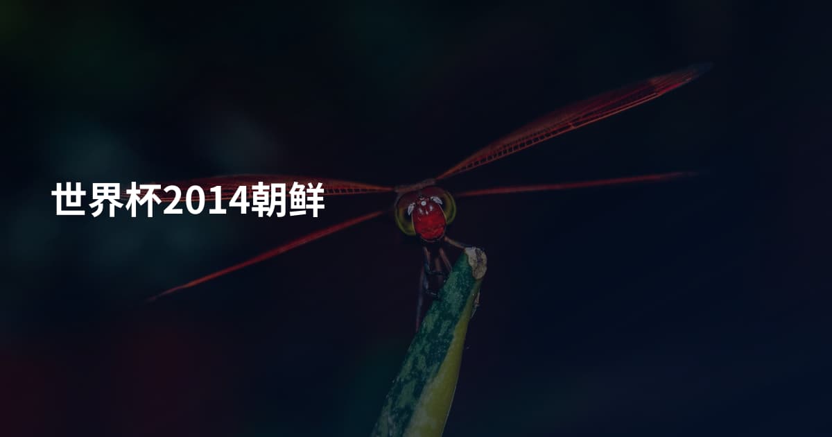 世界杯2014朝鲜