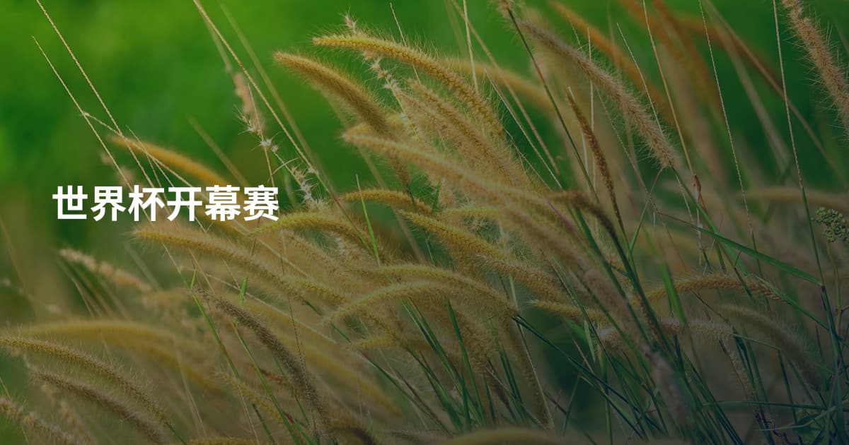 世界杯开幕赛