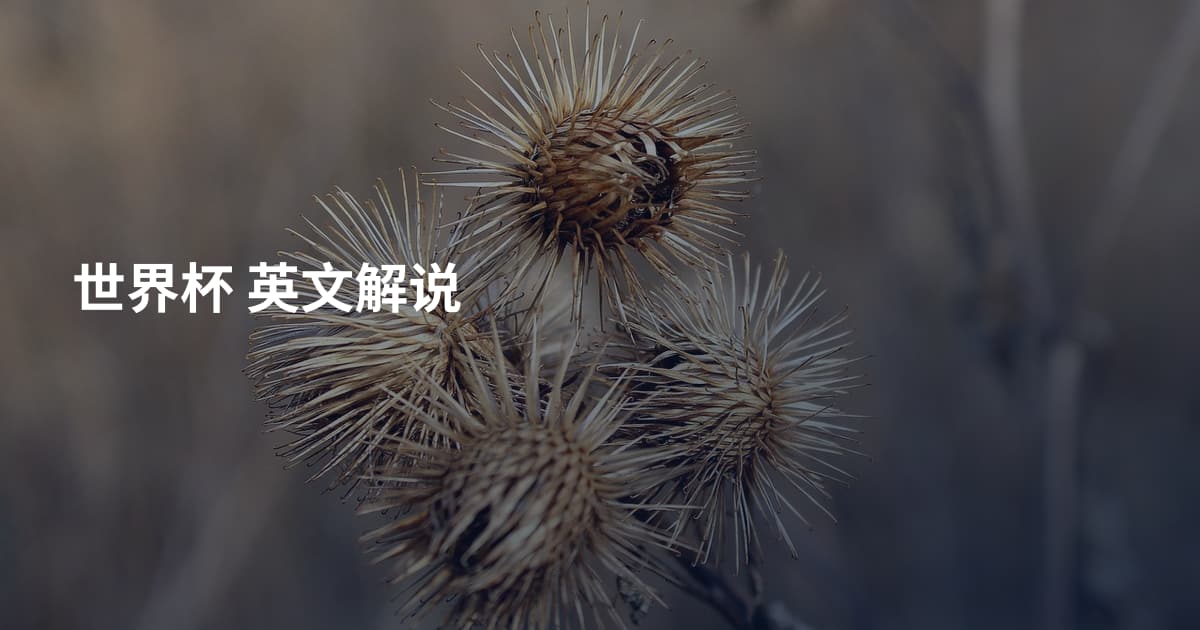 世界杯 英文解说