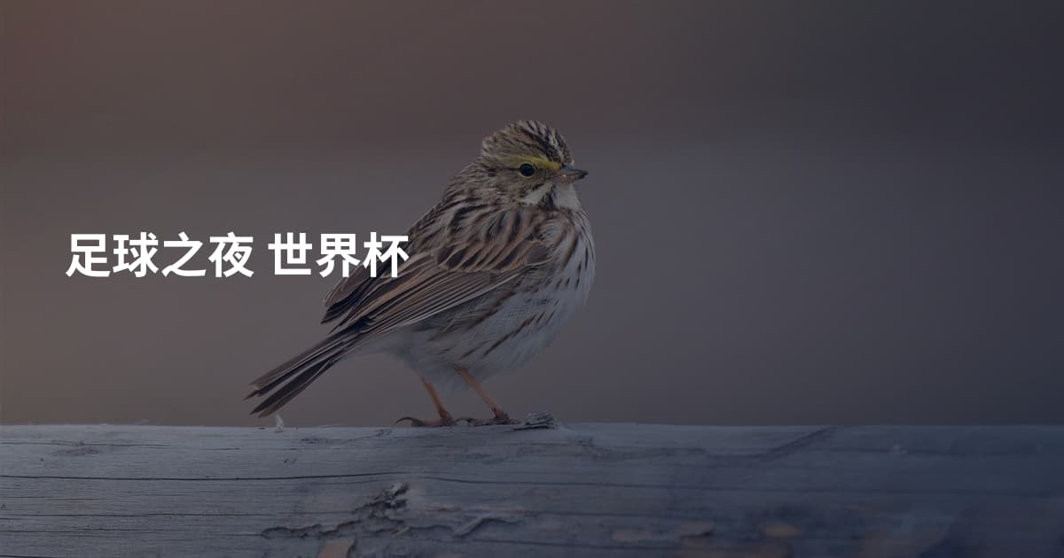 足球之夜 世界杯