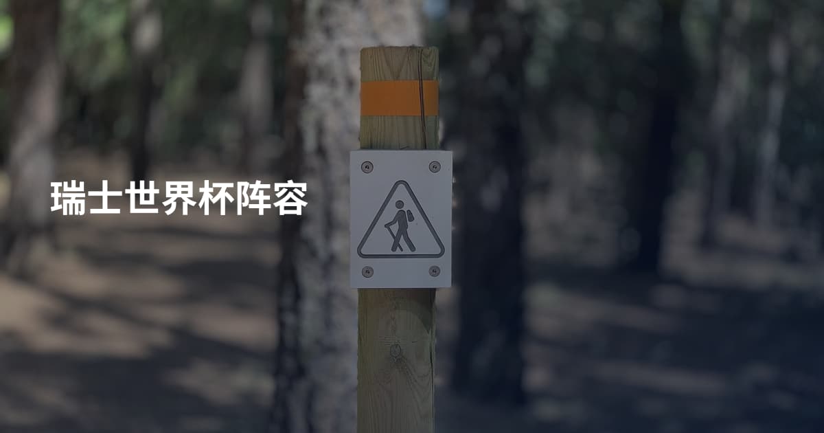 瑞士世界杯阵容