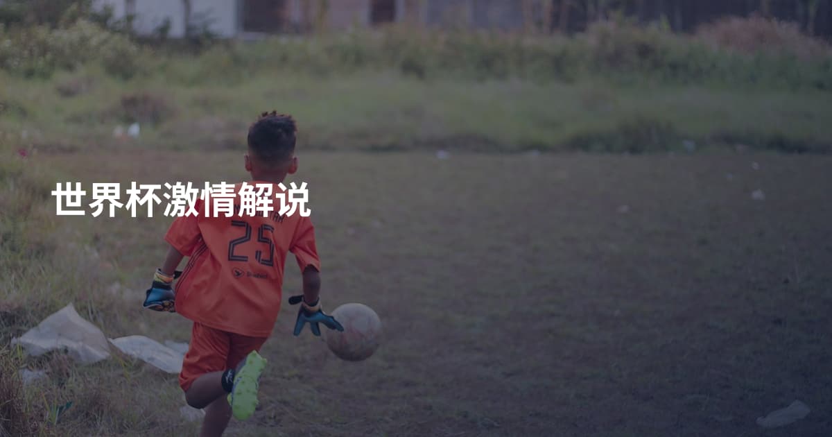 世界杯激情解说